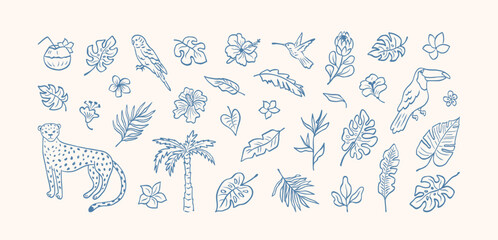 Set of tropical leaves, flowers and wild animal, birds drawing blue ink. Abstract palm, leopard, banana leaf, hibiscus, parrot, exotic plants, plumeria. Minimalist line sketch. Vector illustration.