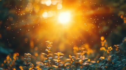 Fototapete - real lens flare,strong sun backlight,light leaks,photo stock