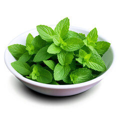 Wall Mural - mint leaves in a bowl isolated on transparent background