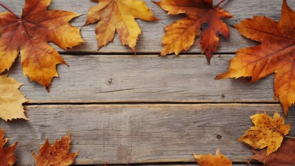 rustic wood plank surface with a border of vibrant autumn maple leaves in shades of yellow, orange, 