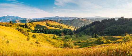 Fototapete - A magical expanses of green hills and pastures in sunny weather. Carpathian mountains, Ukraine, Europe.