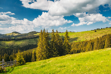 Aufkleber - Gorgeous scene of green meadows and forested mountain ranges in sunny weather. Carpathian mountains, Ukraine.