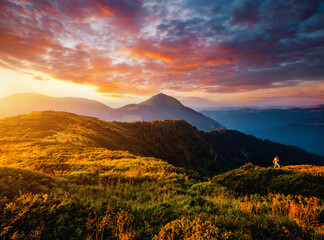 Poster - Majestic view of the mountain ranges illuminated by the sun's rays. Carpathian mountains, Ukraine.