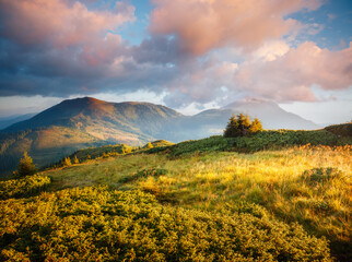 Poster - A splendid view of mountain peaks in the morning sunlight. Carpathian mountains, Ukraine, Europe.