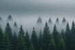 © Michael - Stunning Fir Tree Forest Shrouded in Fog Under Gray Sky for Captivating Backdrop