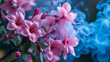 © Kyle - ethereal pink flowers with blue smoke