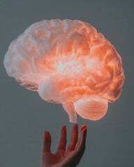 Leinwandbilder - Neuroinnovation Visualization Holographic Brain Illumination Revealing Cognitive Potential through Immersive Mixed Reality Wellness Technology