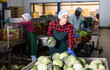© JackF - Woman checks the quality of cabbage in a food factory warehouse