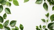 © Pixora Labs - Green leaves border on white background for nature-themed projects or designs