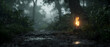 © jam - Misty Forest Path with a Burning Lantern