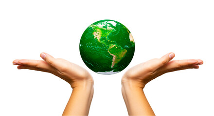 Wall Mural - a pair of hands holding a green globe against a black background in a studio environment view