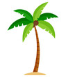© DimsArt - Palm tree or coconut tree cartoon illustration clipart