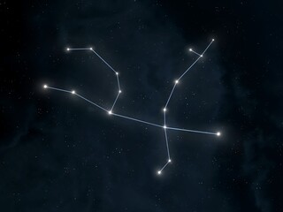 Wall Mural - andromeda constellation in the night sky. stars are connected by lines. astrological image.