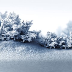 serene winter scene of snow covered ground and frosted evergreen branches against a bright white sky