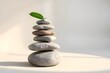 © Awais-Sandhu - Stack of smooth balanced stones with a green leaf on top against a soft background, 3d render
