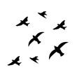 © kurawa - Flying Birds Silhouette