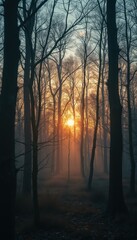 Fototapete - Forest scene with vibrant sunset through bare trees creating a misty, serene atmosphere in nature