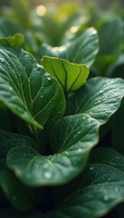 Aufkleber - Verdant Foliage Bathed in Morning Dew: A Study in Texture and Light, Revealing the Intricate Beauty of Lush Green Leaves