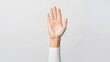 © Pointofview - Raised hand showing palm in stop signal or volunteering gesture, isolated on plain white background caucasian adult arm ready with neutral expression reaching for communication or to ask question