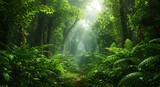 Luminous Jungle Path: Serene Green Canopy and Sunlit Trail