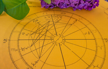Wall Mural - Printed yellow astrology chart with spring lilac flowers in the background