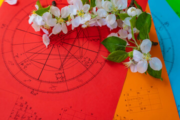 Wall Mural - Printed colorful  astrology charts with small, white, and fragile spring flowers and green leaves in the background