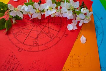 Wall Mural - Printed colorful  astrology charts with small, white, and fragile spring flowers and green leaves in the background