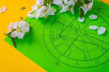 Wall Mural - Printed green astrology chart with small, white, and fragile spring flowers and green leaves in the background