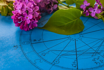 Wall Mural - Printed blue astrology chart with spring lilac flowers and green leaves in the background