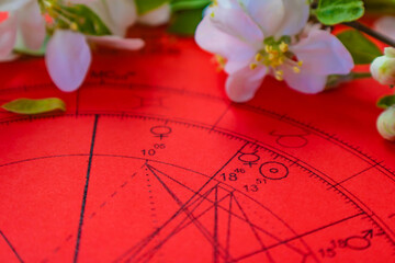 Wall Mural - Printed red astrology chart with spring  with small, white, and fragile spring flowers and green leaves in the background