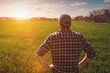 © Barillo_Images - Back view of farmer inspecting young wheat field at sunset. Sustainable agriculture.