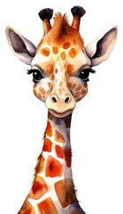 Wall Mural - png baby giraffa animal balloon giraffe.
