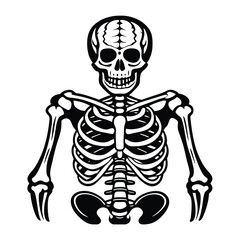 human skull and skeleton vector illustration in anatomical and medical style