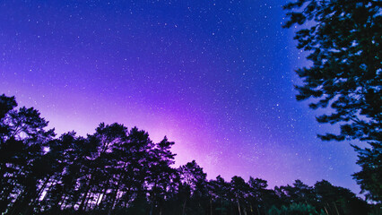 Wall Mural - night sky with stars