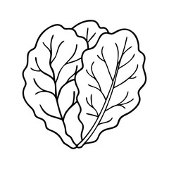 Wall Mural - collard greens icon, collard greens vector illustration-simple illustration of collard greens, perfe