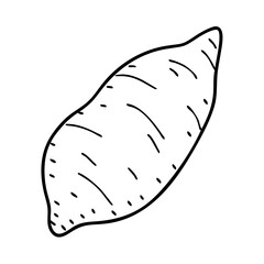 Wall Mural - sweet potato icon, sweet potato vector illustration-simple illustration of sweet potato, perfect for