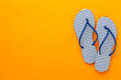 © Liami - Striped blue flip flops on color background, top view