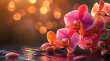 Vibrant pink orchids in a warm sunset glow.