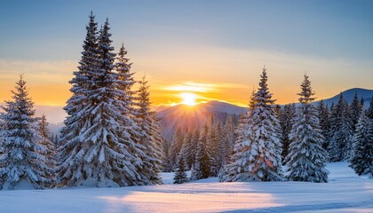 Wall Mural - Sunset between snow covered fir trees somewhere in the Chic chocs mountains