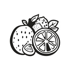 Wall Mural - Citrus Fruit Still Life Outline with Leaf, Slice and Whole on Transparent Background