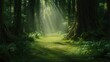 © Mas - Serene Forest Pathway with Sunlight Streaming Through
