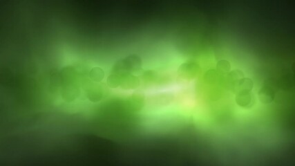 Wall Mural - looped nature dark green glow blurred circle bokeh animation.