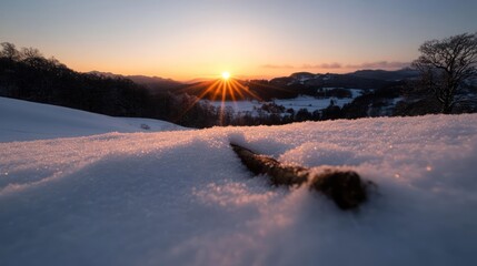 Aufkleber - Sunburst over a vast snow field with a fallen branch, captured in a horizontal outdoor shot. The warm glow of the setting sun contrasts with the cold snow, creating a tranquil and beautiful winter