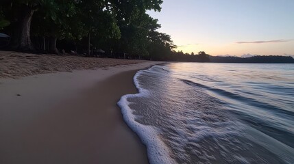 Poster - A scenic view of a sandy beach meeting gentle ocean waves at sunset, framed by silhouetted trees under a dusky sky, evokes tranquility and the serene beauty of a tropical coast