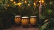 © Puttipong - A conga drum set in tropical outdoor lighting