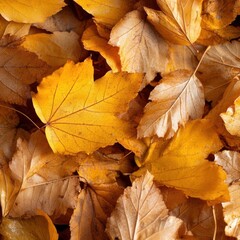 Aufkleber - An overhead view reveals a dense collection of autumn leaves in shades of yellow, brown, and beige. The leaves are tightly packed, creating a textured, natural surface