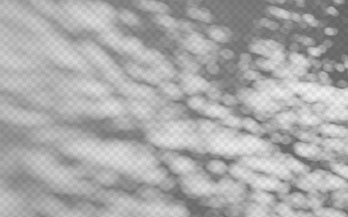 Wall Mural - abstract shadow overlay from foliage on a transparent background.