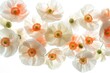 © Harsha - Delicate peach and white poppies float against a bright white background, showcasing their intricate details.