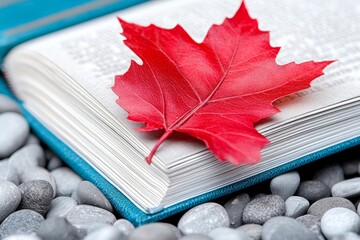 Wall Mural - A vibrant red maple leaf pressed between the pages of an old book, symbolizing nostalgia and time