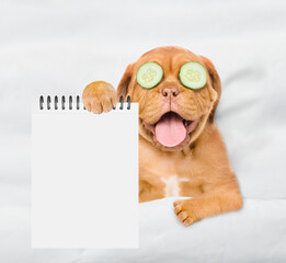Fototapete - Funny Mastiff puppy with pieces of cucumber on it eyes relaxing on the bed at home and showing empty list. Top down view. Empty space for text